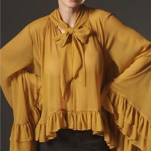 Anthropologie Let Me Be Sheer Tie Neck Ruffle Blouse